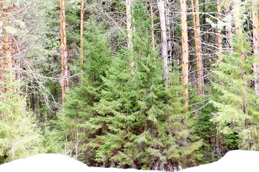 Similar image 6148033