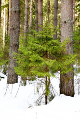 Similar image 6148034