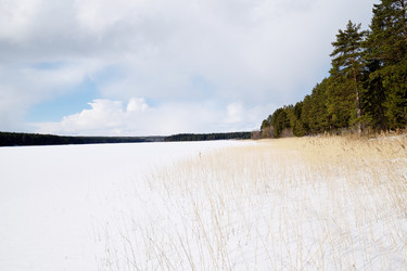 Similar image 6148037