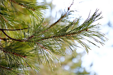 Similar image 6148039