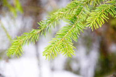 Similar image 6148041