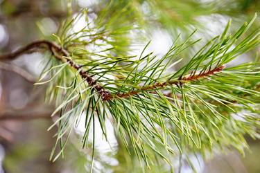 Similar image 6148043