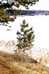 Similar image 6148045