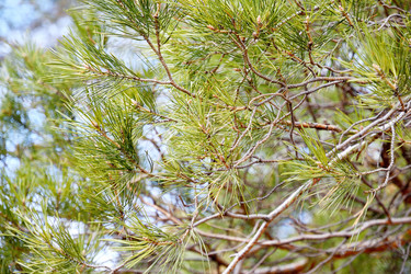 Similar image 6148046