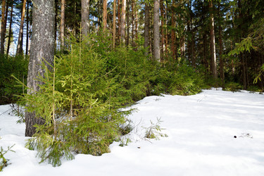 Similar image 6148049