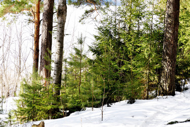 Similar image 6148050