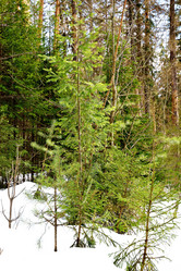 Similar image 6148051