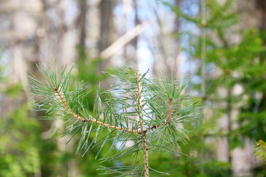 Similar image 6148052