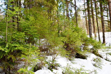 Similar image 6148053