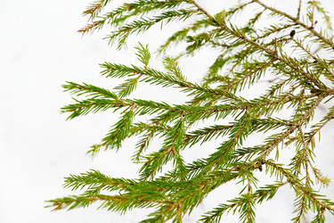 Similar image 6148054