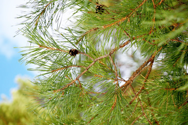 Similar image 6148055