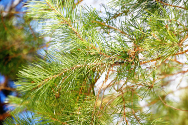 Similar image 6148056