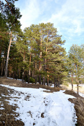 Similar image 6148057