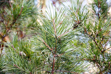 Similar image 6148058