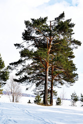 Similar image 6148059