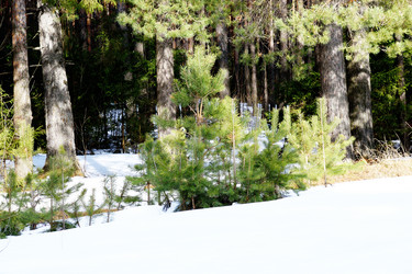 Similar image 6148061