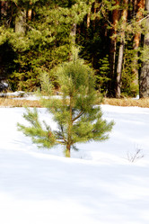 Similar image 6148062