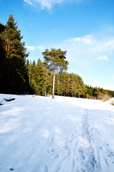 Similar image 6148065