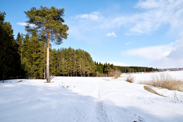 Similar image 6148066