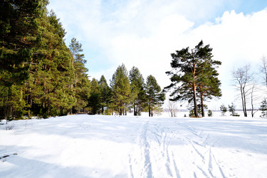 Similar image 6148067