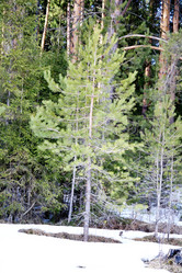 Similar image 6148070