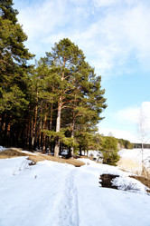 Similar image 6148071