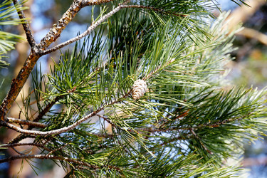 Similar image 6148073