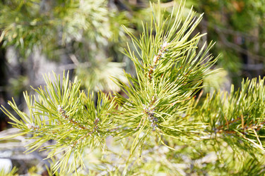 Similar image 6148074