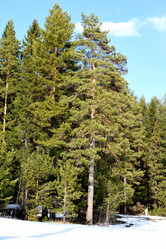 Similar image 6148077