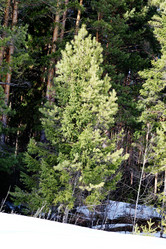 Similar image 6148078