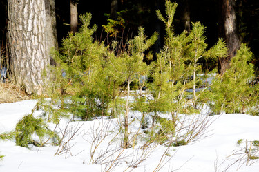 Similar image 6148079