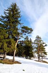 Similar image 6148080