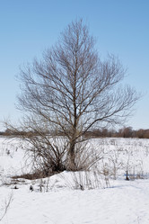 Similar image 6148084