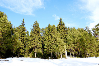 Similar image 6148087