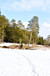 Similar image 6148093