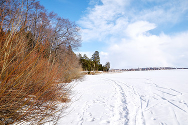 Similar image 6148094