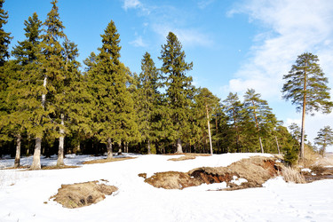 Similar image 6148095