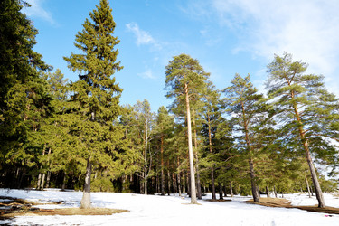 Similar image 6148096