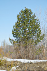 Similar image 6148097