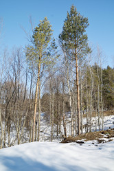 Similar image 6148100