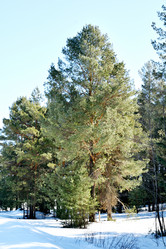 Similar image 6148101