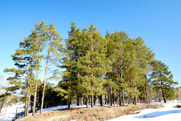 Similar image 6148102