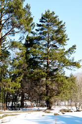 Similar image 6148103