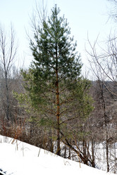 Similar image 6148110