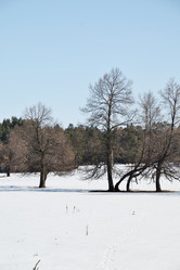 Similar image 6148113