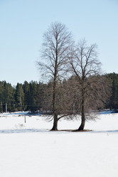 Similar image 6148114