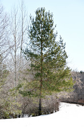 Similar image 6148115