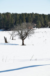 Similar image 6148116