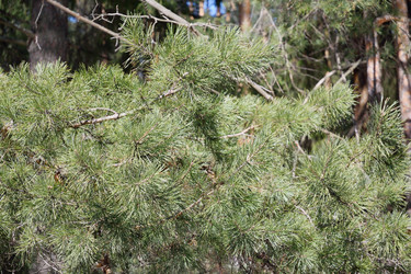 Similar image 6148119