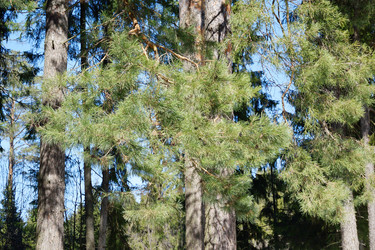 Similar image 6148120